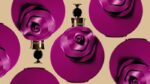 والنتینو والنتینا رزا اسولوتو Valentino valentina Rosa Assoluto