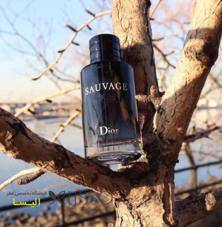 عطر دیور ساواج