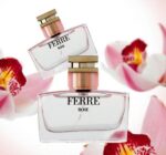 جیانفرانکو فره رز Gianfranco ferre rose