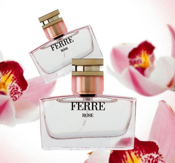 جیانفرانکو فره رز Gianfranco ferre rose