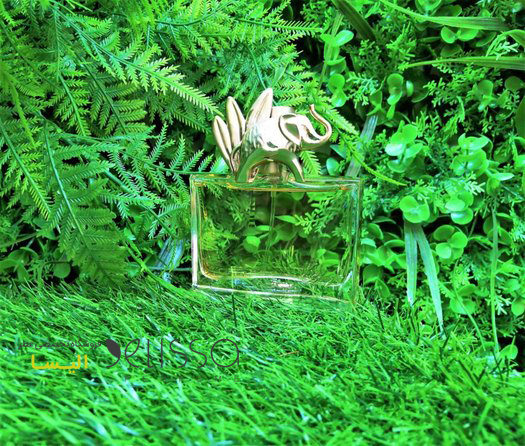 عطر-کنزو-جانگل-زنانه-ادو-پرفیوم-3 عطر کنزو جانگل زنانه ادو پرفیوم