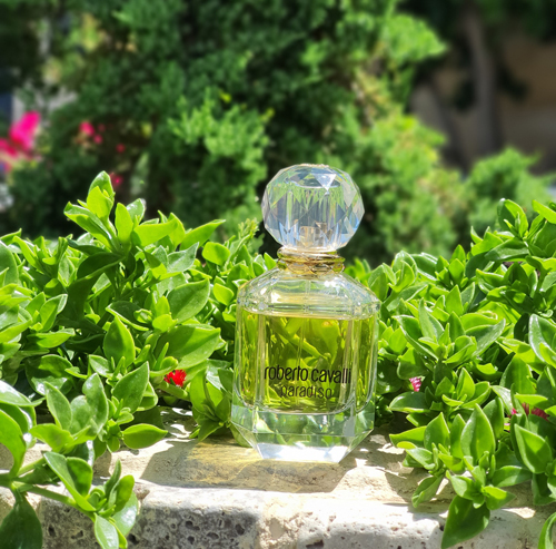 عطر روبرتو کاوالی پارادایسو