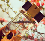 عطر استی لودر مدرن موس