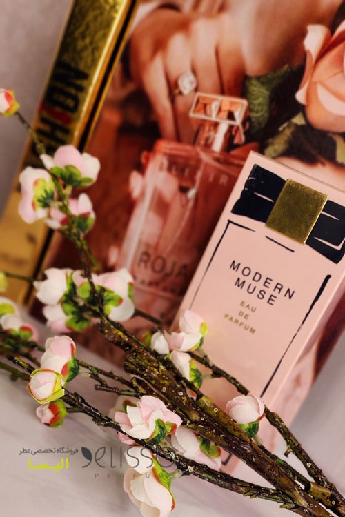 عطر استی لودر مدرن موس