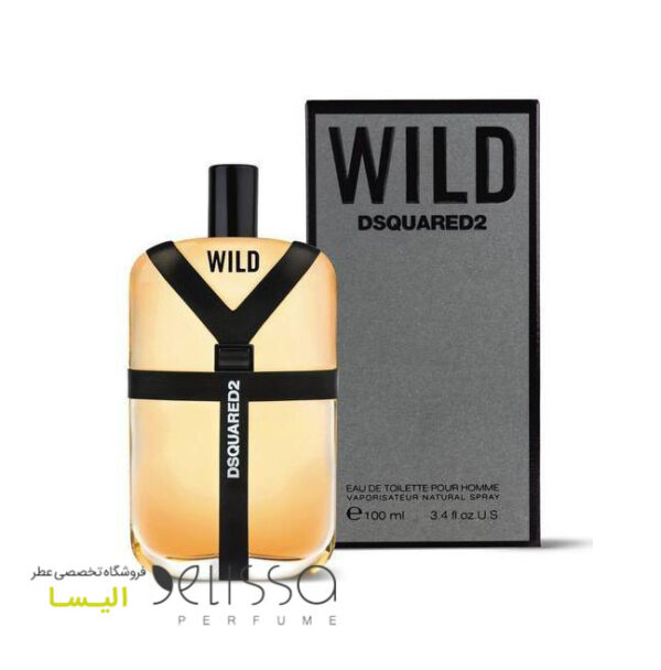 عطر دسکوارد وایلد