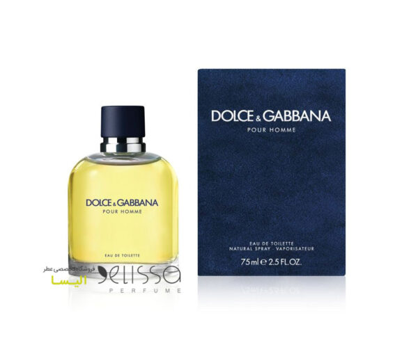 عطر دولچه گابانا پورهوم