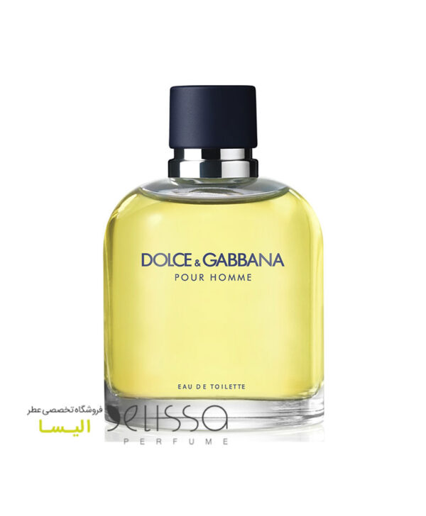 عطر دولچه گابانا پورهوم