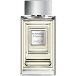 عطر لالیک هومج الهوم (هومیج له هوم) Lalique Hommage a L'Homme