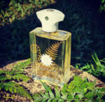 عطر آمواج براکن مردانه