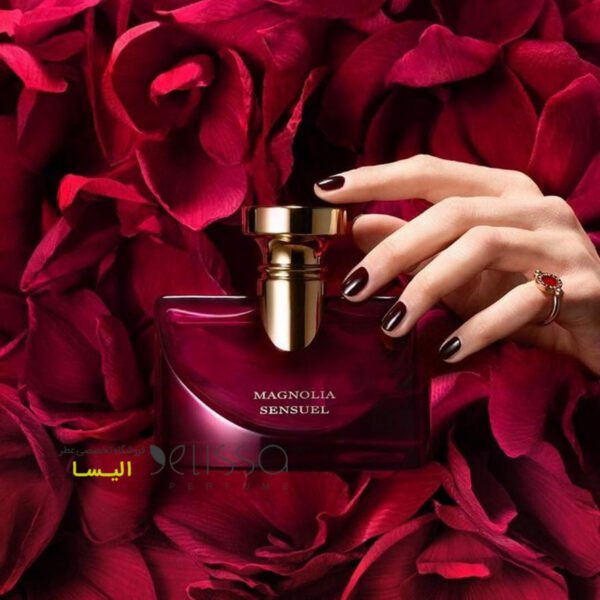 عطر بولگاری اسپلندیدا مگنولیا سنشوال