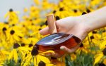 عطر کالوین کلین ایفوریا امبر گلد زنانه