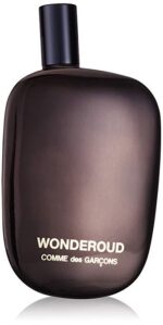 کام دس گارسنز واندرعود Comme des Garcons Wonderoud