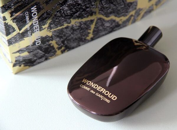 کام دس گارسنز واندرعود Comme des Garcons Wonderoud