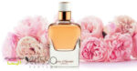 عطر هرمس ژور دهرمس ابسولو
