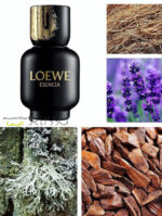 عطر لووه اسنسیا پور هوم ادو پرفیوم مردانه
