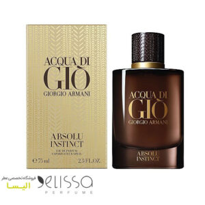 عطر جورجیو آرمانی آکوا دی جیو ابسولو اینستینکت