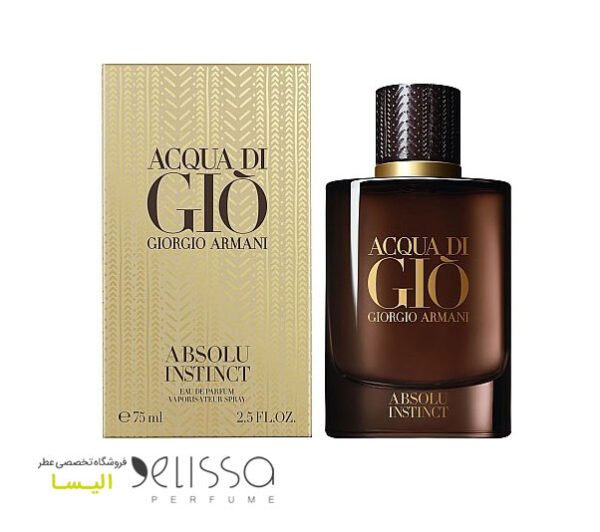 عطر جورجیو آرمانی آکوا دی جیو ابسولو اینستینکت