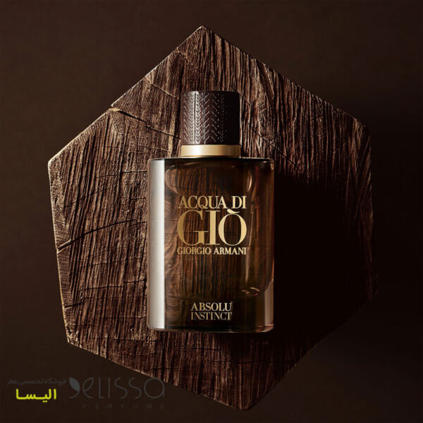عطر جورجیو آرمانی آکوا دی جیو ابسولو اینستینکت