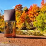 عطر لئو د ایسی پور هوم وود اند وود