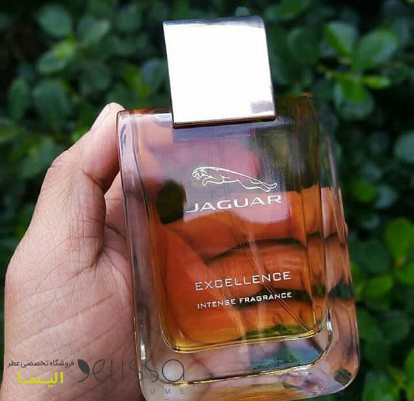 عطر جگوار اکسلنس اینتنس