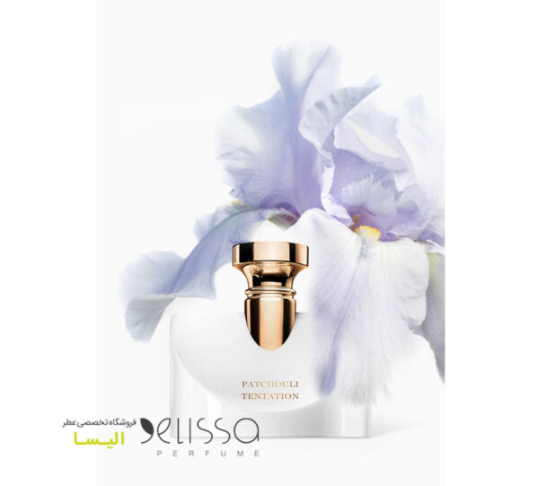 عطر بولگاری اسپلندیدا پچولی تنتیشن