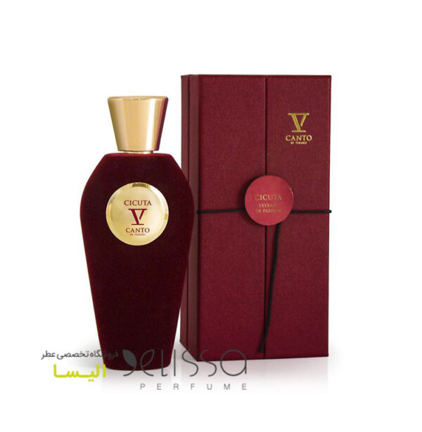 عطر وی کانتو سیکوتا