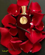 عطر وی کانتو سیکوتا