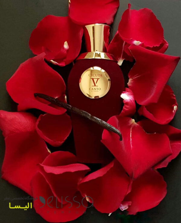 عطر وی کانتو سیکوتا