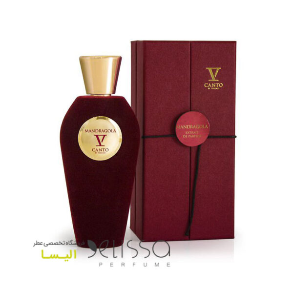 عطر وی کانتو ماندراگولا