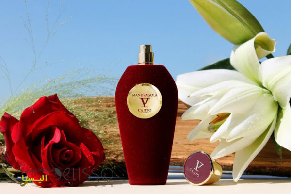 عطر وی کانتو ماندراگولا