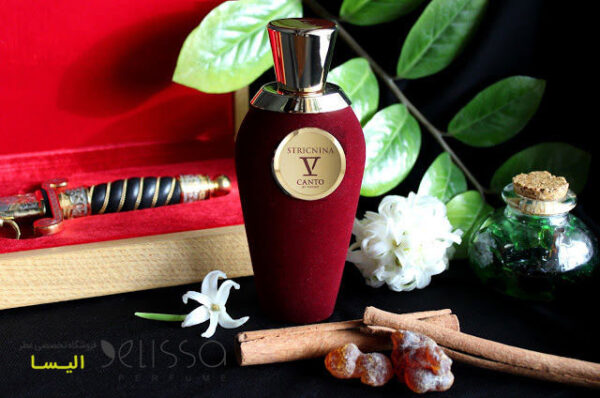 عطر وی کانتو ماندراگولا