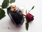 ادکلن لووه کویزاس سداکشن