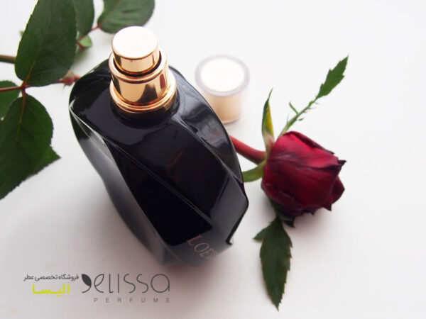 ادکلن لووه کویزاس سداکشن