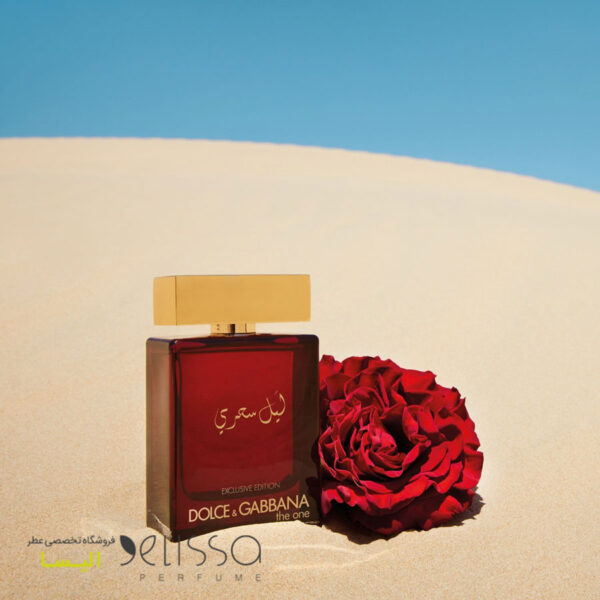 عطر دولچه گابانا د وان میستریون نایت