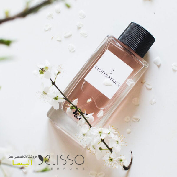 ادکلن دولچه گابانا آنتولوژی ال ایمپرتریس 3