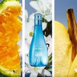 عطر دیویدوف کول واتر استریت فایتر چمپیون سامر ادیشن زنانه