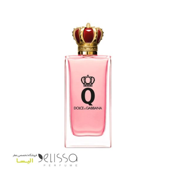 عطر دولچه گابانا کیو