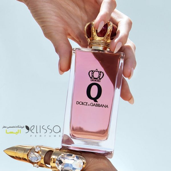 عطر دولچه گابانا کیو