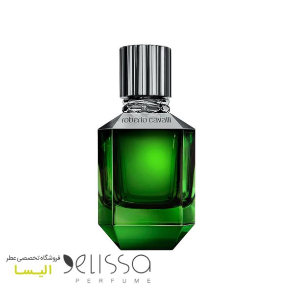 ادکلن روبرتو کاوالی پاردایس فاوند (فوند) مردانه