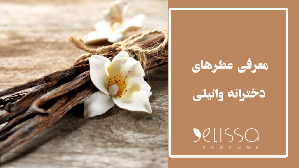 معرفی عطرهای دخترانه با بوی وانیل
