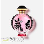 عطر پاکو رابان المپیا فلورا