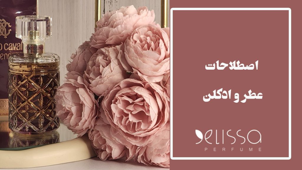 اصطلاحات عطر و ادکلن