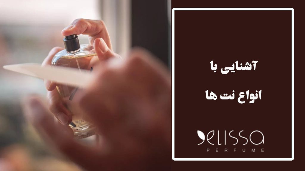 نت عطر چیست؟ آشنایی با انواع نت ابتدایی ، میانی و پایانی