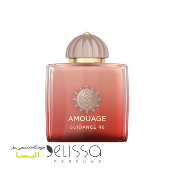 ادکلن آمواج گایدنس 46