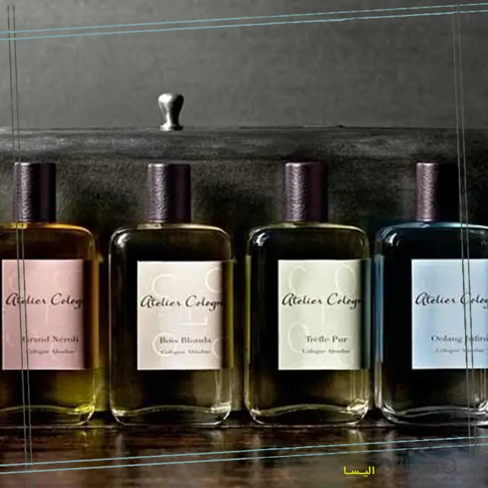 انتخاب عطر گرم یا عطر خنک