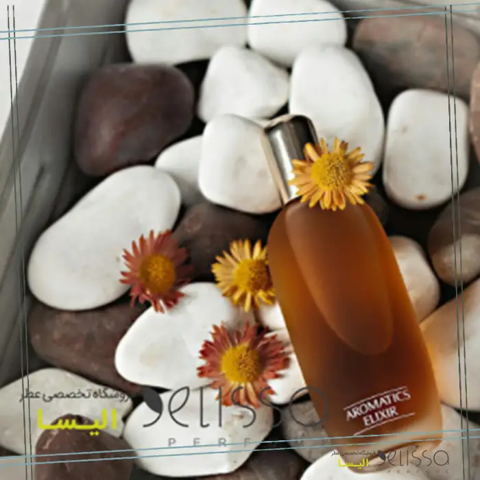 عطر تلخ زنانه