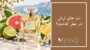 نت های ترش در عطر کدامند؟
